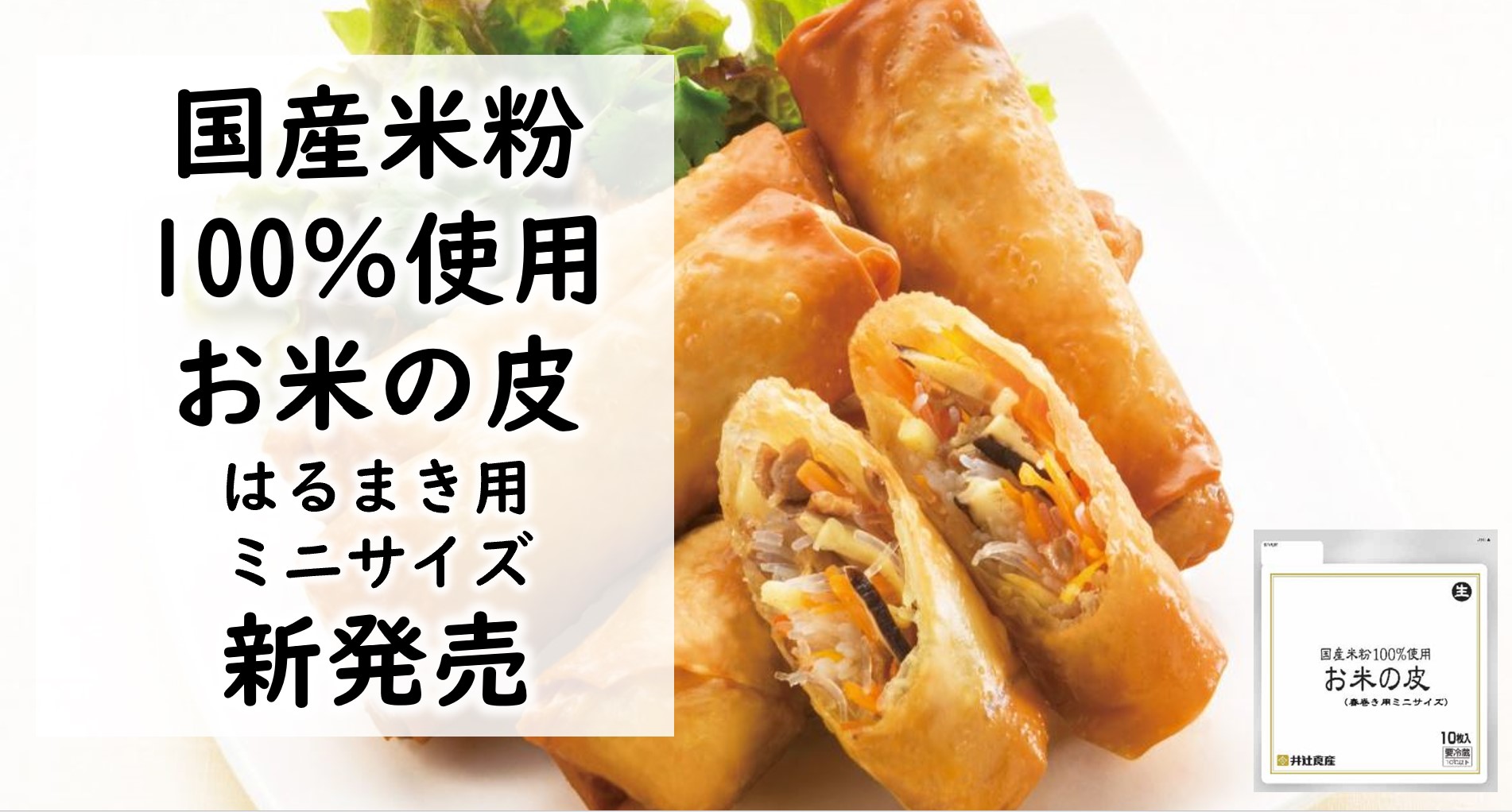 【ジューシ餃子セット】+春巻き 餃子・春巻きの皮｜Oisix（おいしっくす）